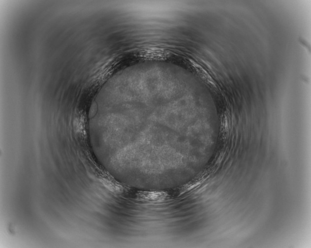 X0000096140663200802081349