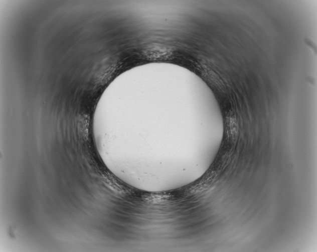 X0000096140664200802081349