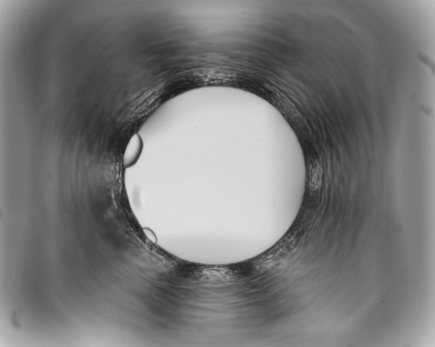 X0000096140666200802081349