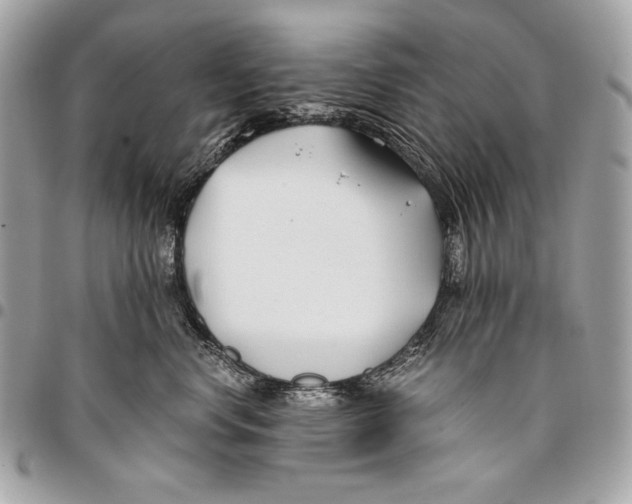 X0000096140668200802081349