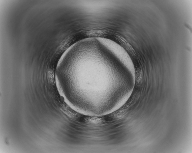 X0000096140669200802081349