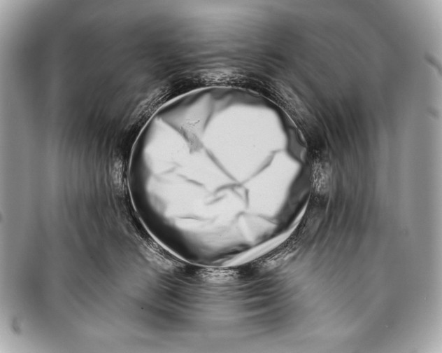 X0000096140670200802081349