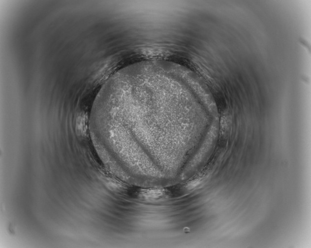 X0000096140671200802081349