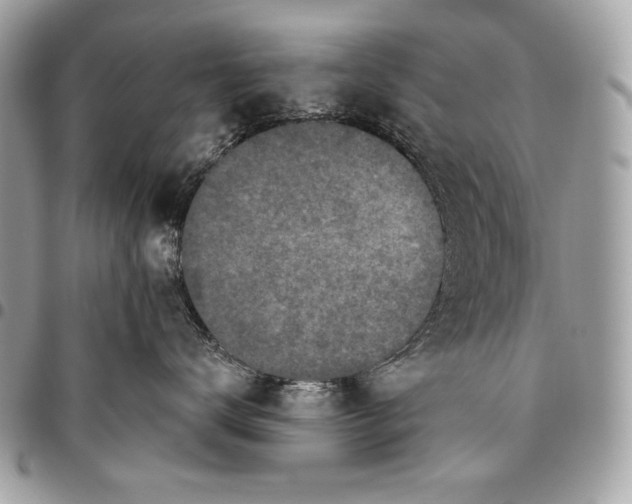 X0000096140672200802081349