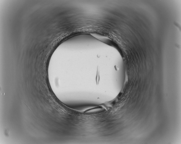 X0000096140673200802081348