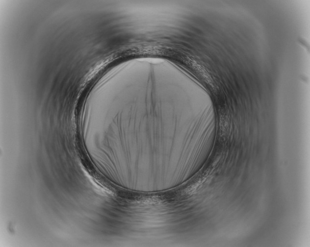 X0000096140674200802081348