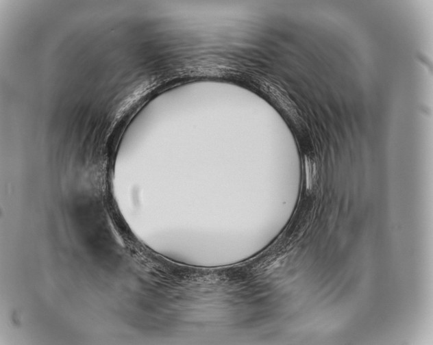X0000096140675200802081348