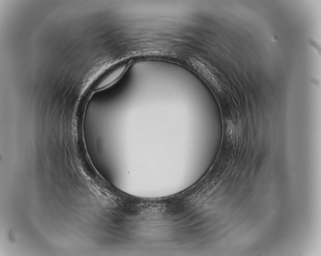 X0000096140676200802081348