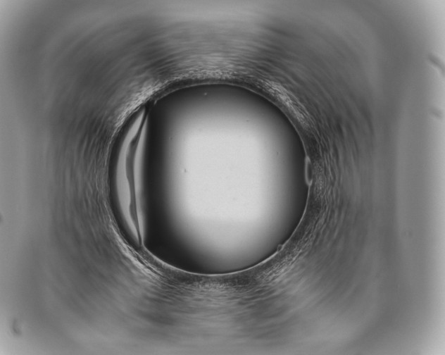 X0000096140677200802081348