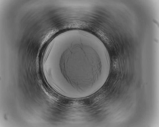 X0000096140678200802081348