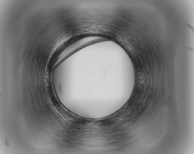 X0000096140680200802081348