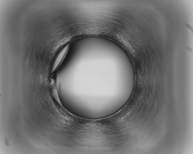 X0000096140681200802081348