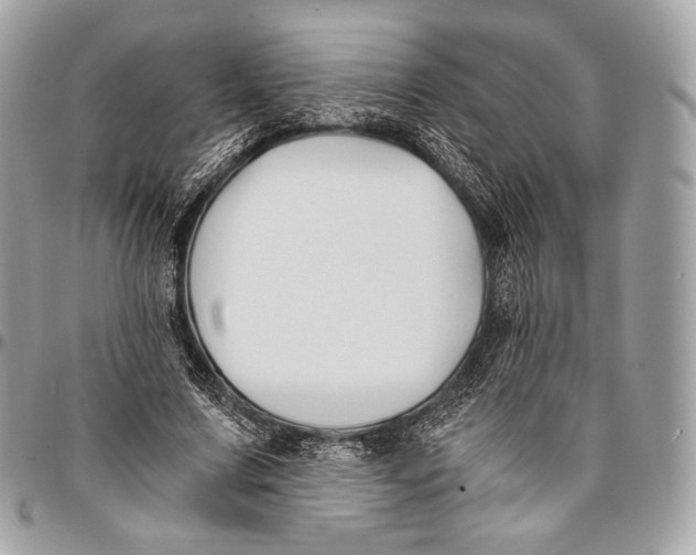 X0000096140683200802081348