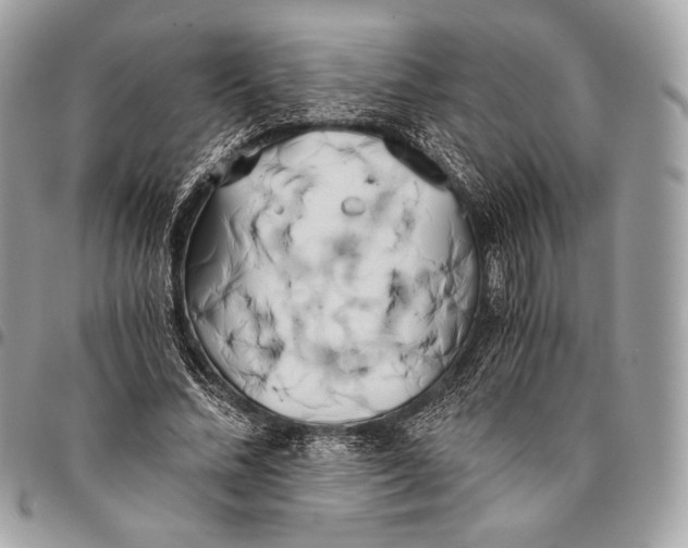 X0000096140684200802081348