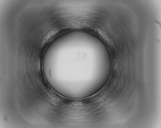 X0000096140685200802081348