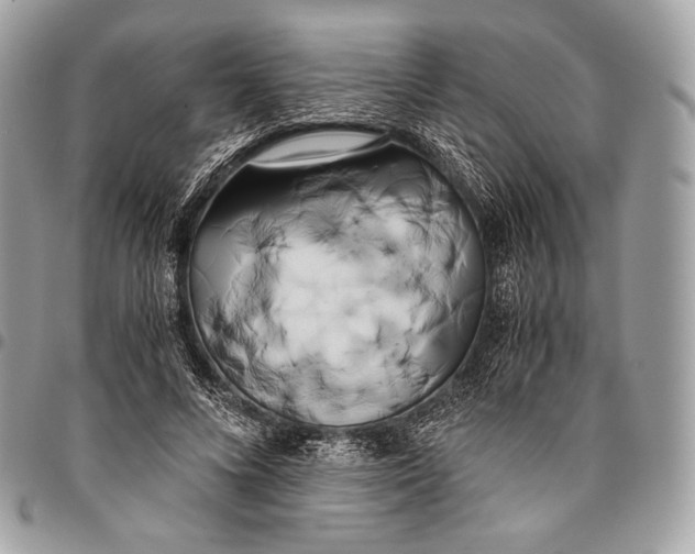 X0000096140688200802081348