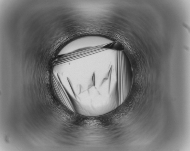 X0000096140689200802081348