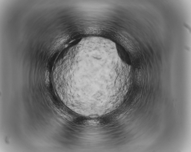 X0000096140692200802081348