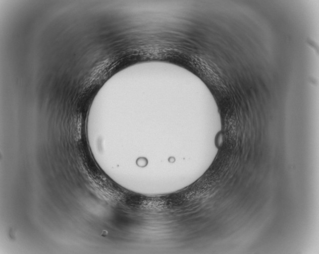 X0000096140694200802081348