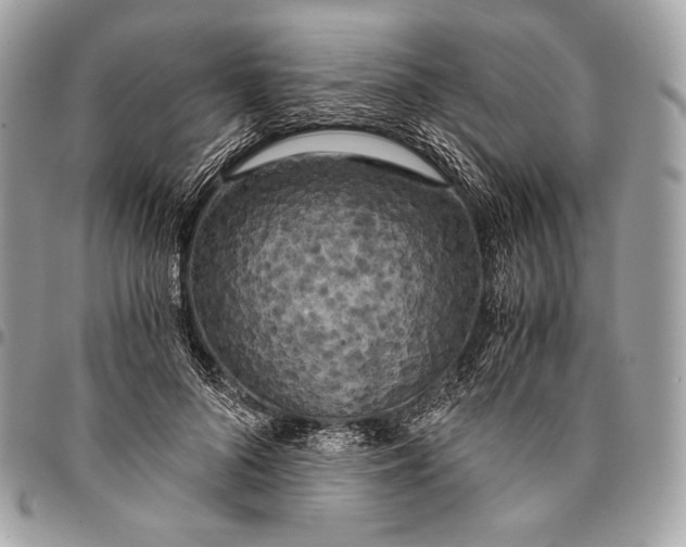 X0000096140696200802081348