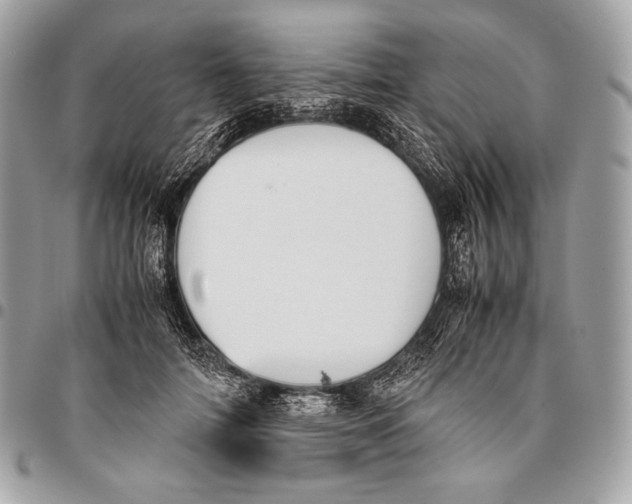 X0000096140698200802081348