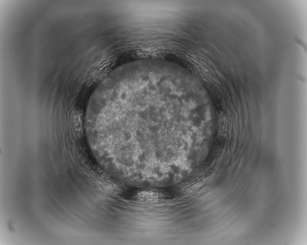 X0000096140699200802081348
