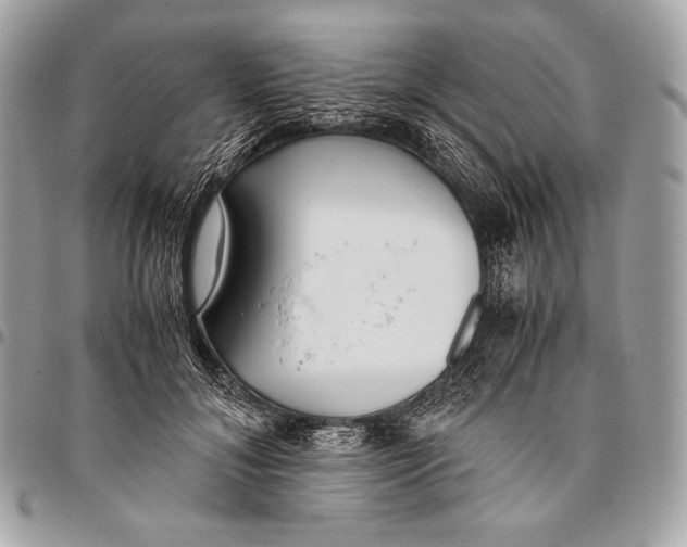 X0000096140700200802081348
