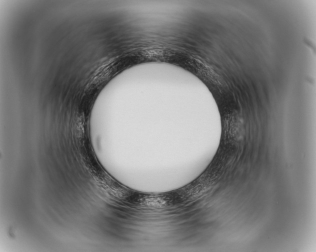 X0000096140702200802081348
