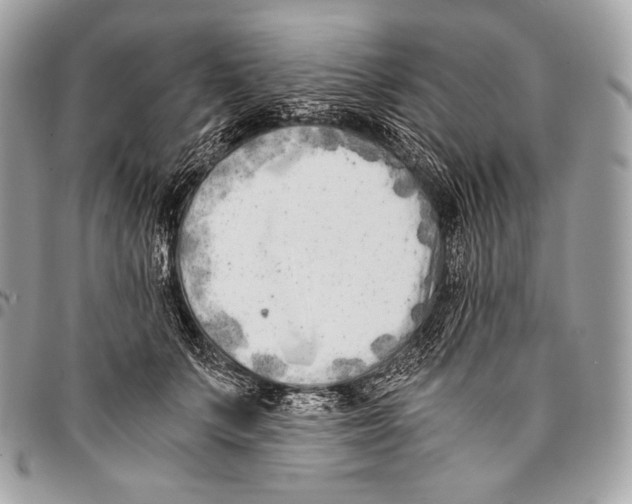 X0000096140703200802081348