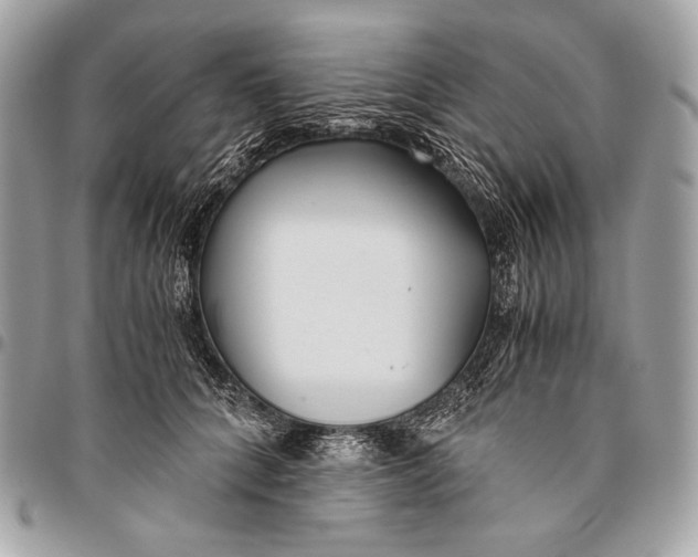 X0000096140704200802081348
