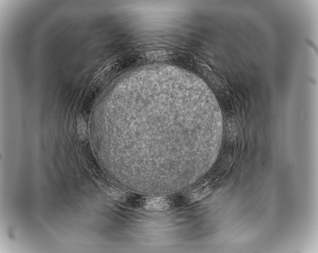 X0000096140705200802081348