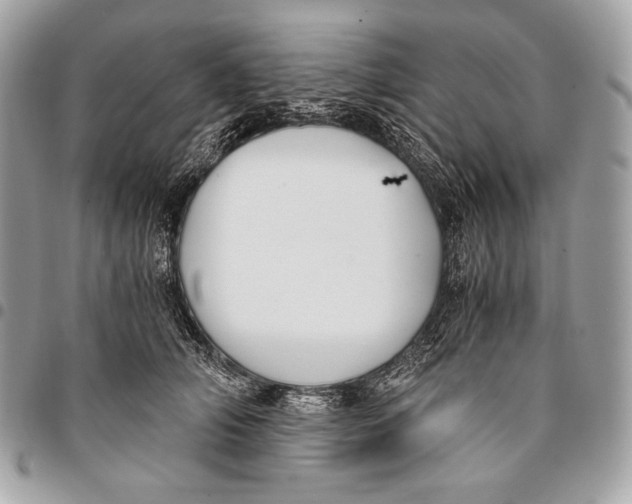 X0000096140706200802081348