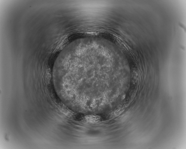 X0000096140707200802081348