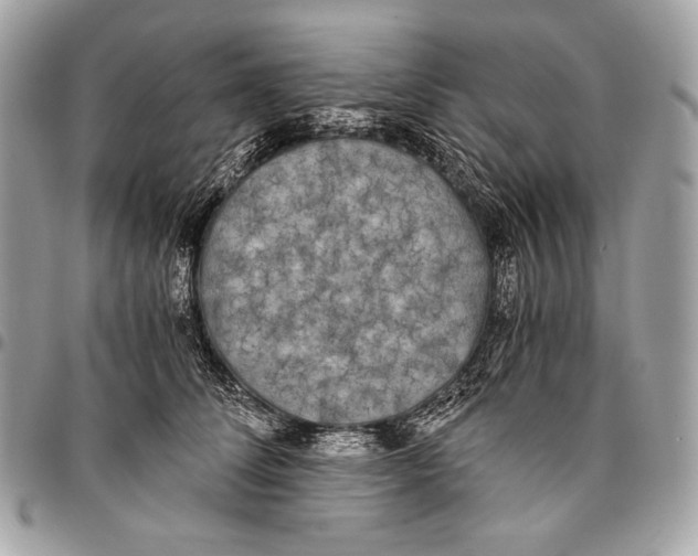 X0000096140708200802081348