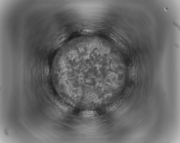 X0000096140711200802081348