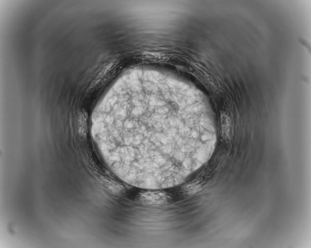 X0000096140712200802081348