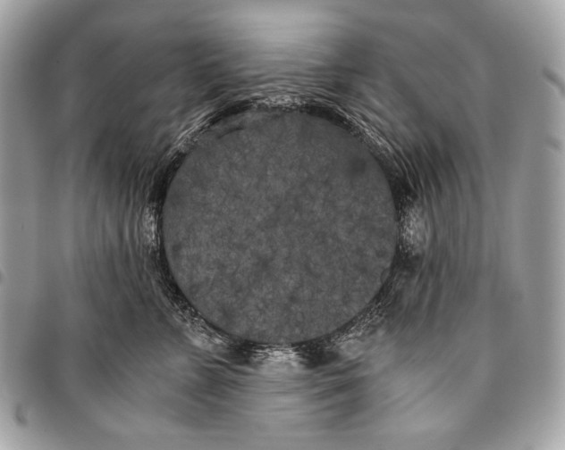 X0000096140715200802081348