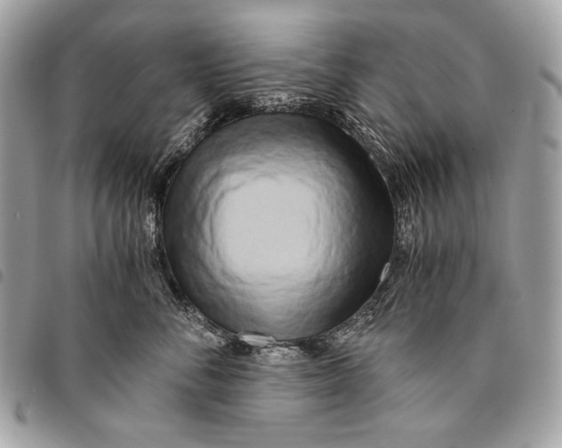 X0000096140716200802081348