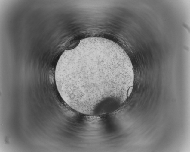 X0000096140719200802081348