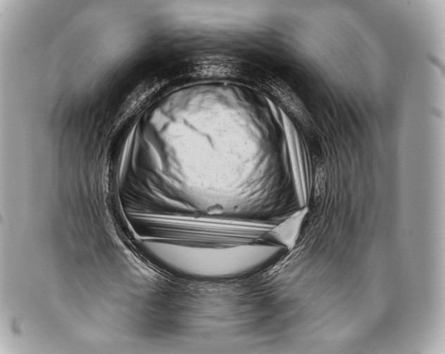 X0000096140722200802081347