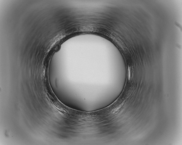 X0000096140723200802081347