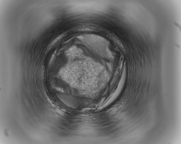 X0000096140724200802081347