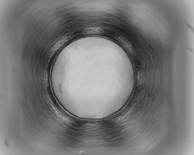 X0000096140725200802081347
