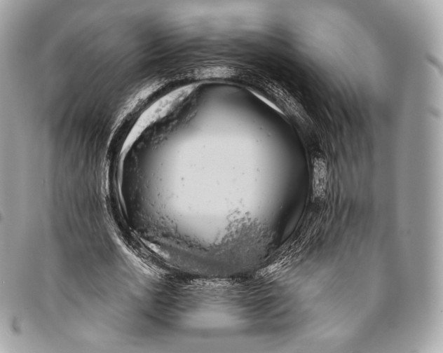 X0000096140726200802081347