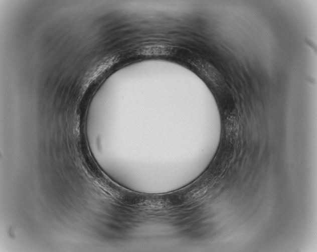 X0000096140727200802081347
