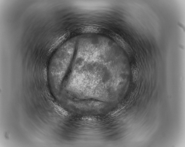 X0000096140729200802081347