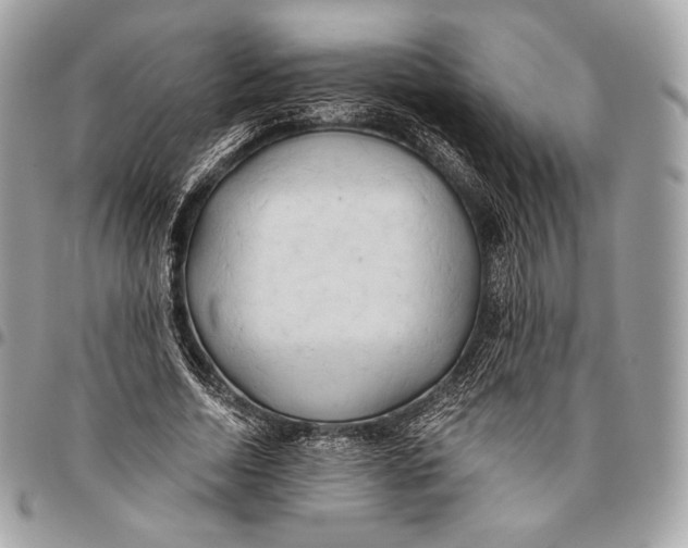 X0000096140730200802081347