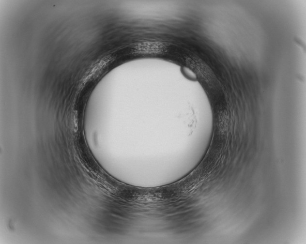 X0000096140731200802081347