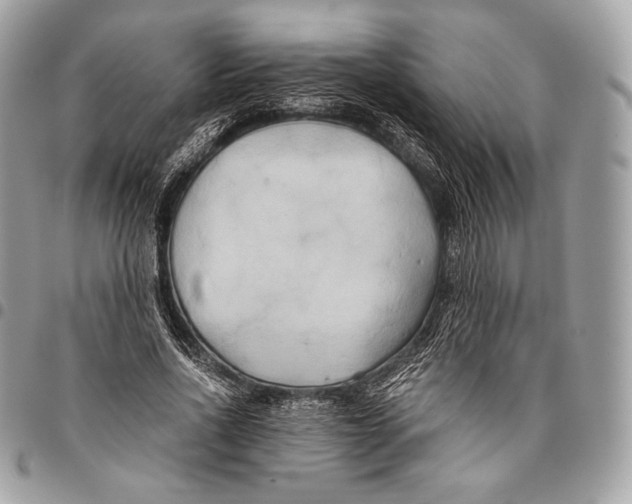 X0000096140734200802081347