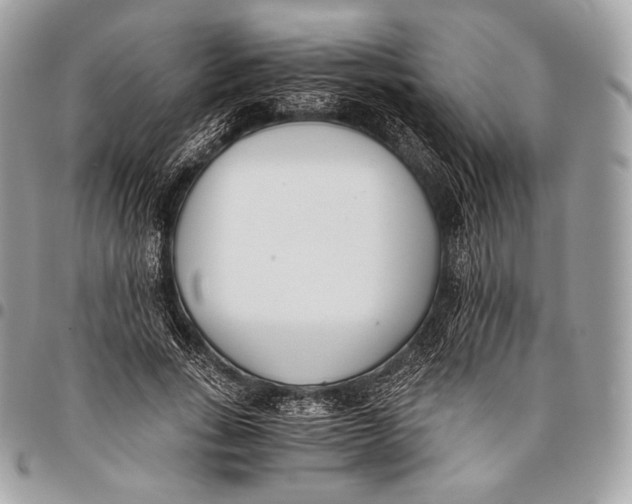 X0000096140735200802081347